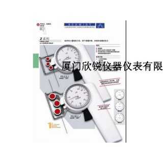 德国施密特SCHMIDT张力仪ZF2-12,厦门欣锐仪器仪表有限公司